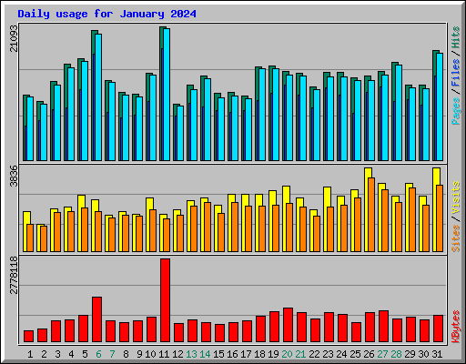 Daily usage for January 2024