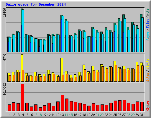 Daily usage for December 2024