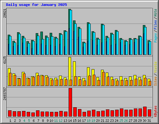 Daily usage for January 2025