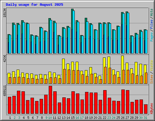 Daily usage for August 2025