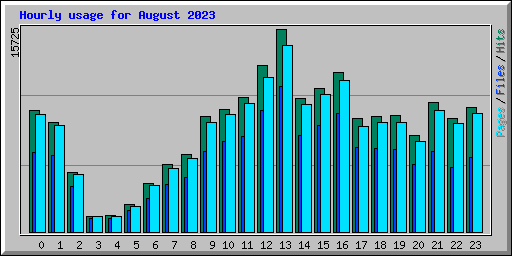 Hourly usage for August 2023