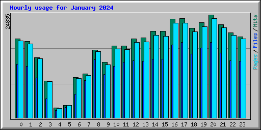 Hourly usage for January 2024