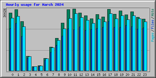 Hourly usage for March 2024
