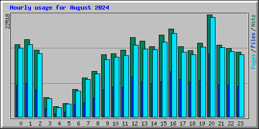 Hourly usage for August 2024