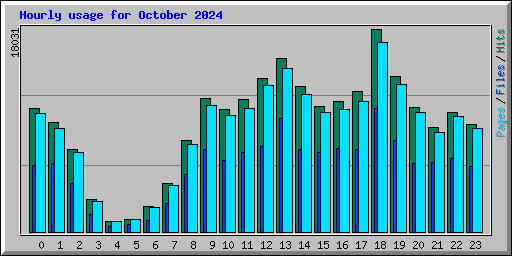 Hourly usage for October 2024