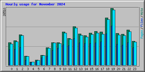 Hourly usage for November 2024