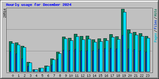 Hourly usage for December 2024