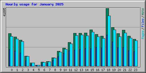 Hourly usage for January 2025