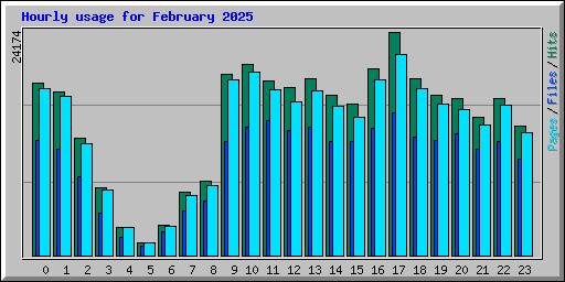 Hourly usage for February 2025