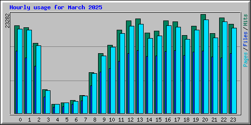 Hourly usage for March 2025