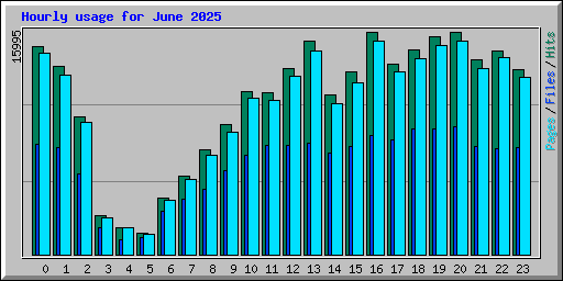 Hourly usage for June 2025