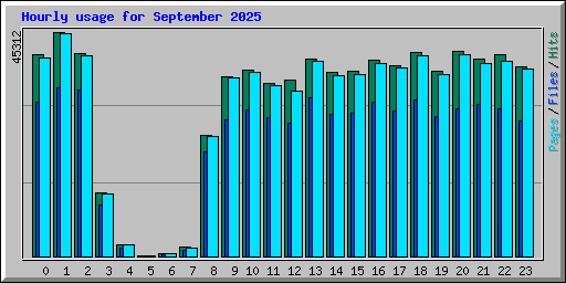 Hourly usage for September 2025