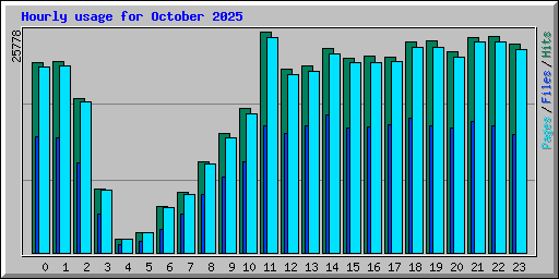Hourly usage for October 2025