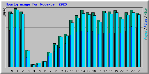 Hourly usage for November 2025