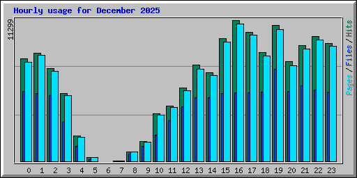 Hourly usage for December 2025